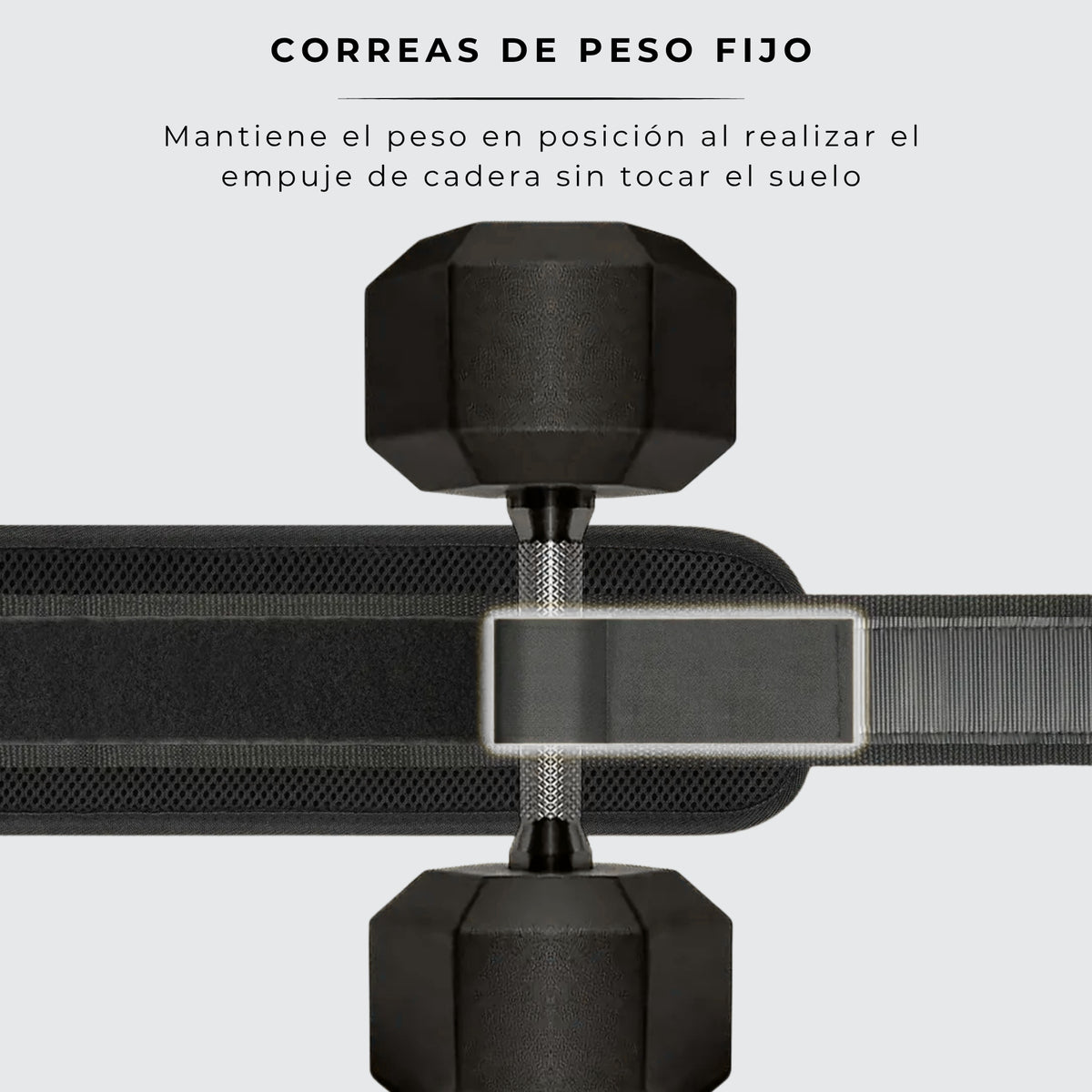 CINTURÓN HIP THRUST