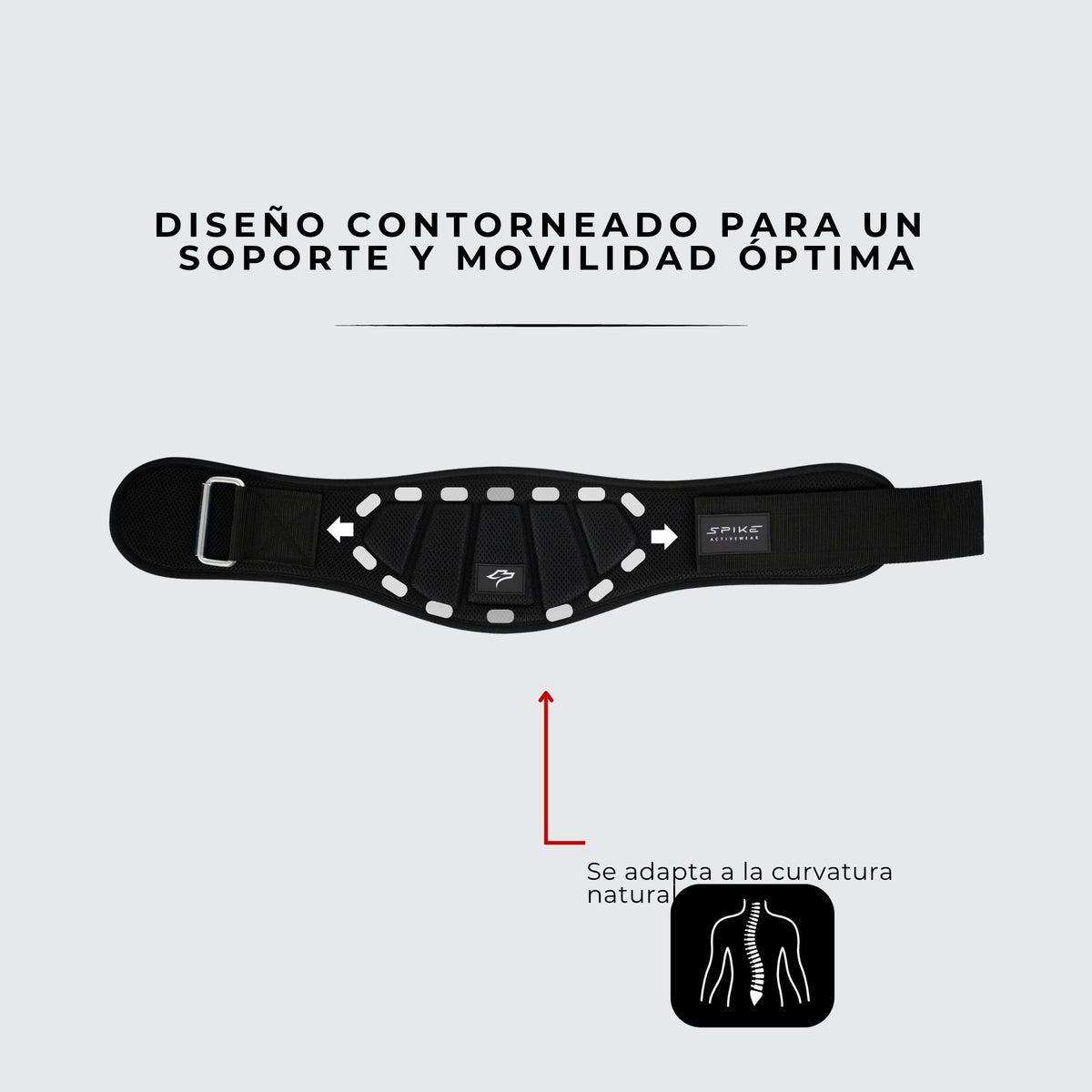 CINTURON SOPORTE