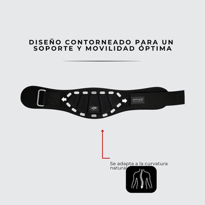 CINTURON SOPORTE