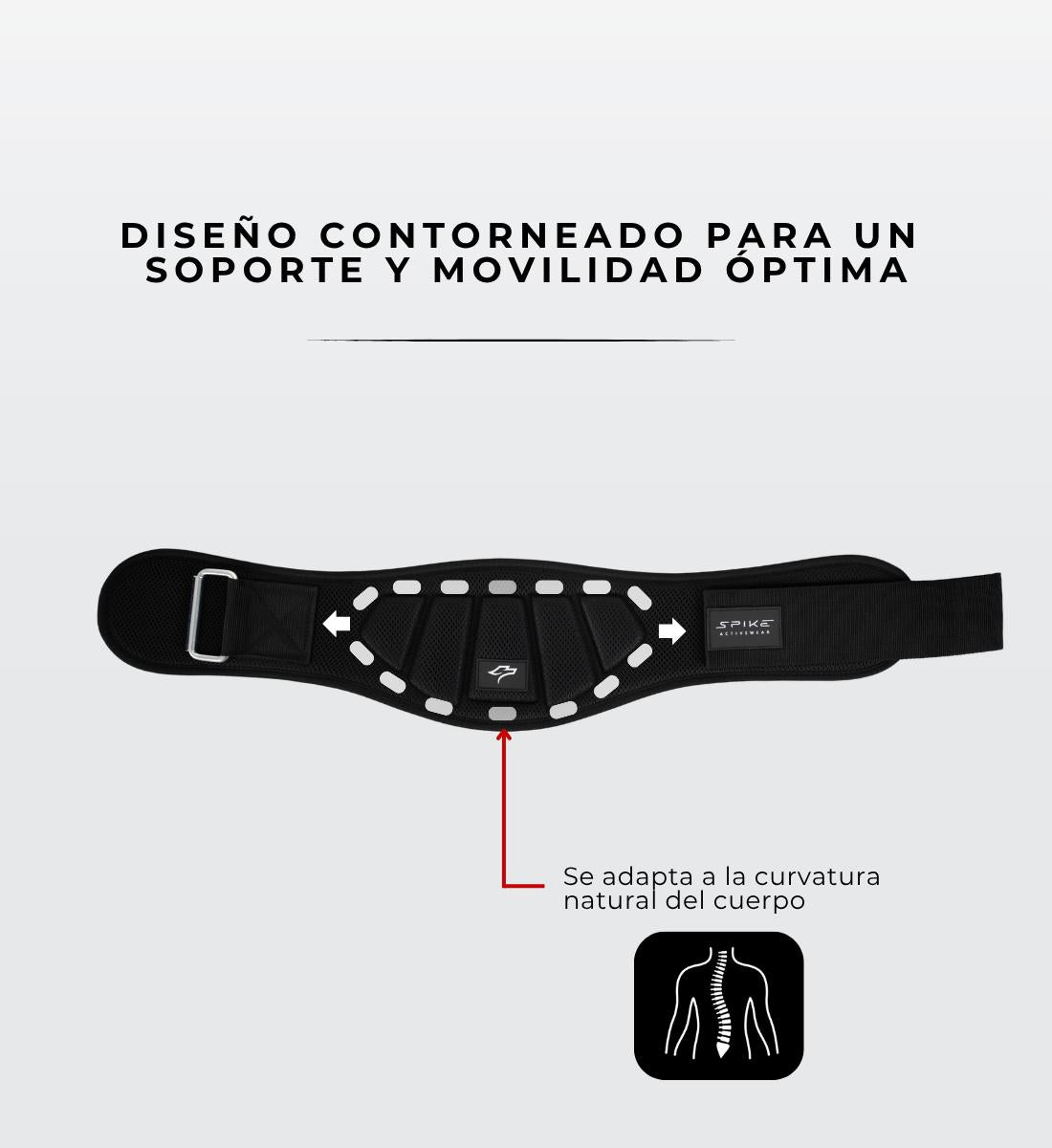 CINTURON SOPORTE